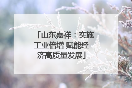 山东嘉祥：实施工业倍增 赋能经济高质量发展